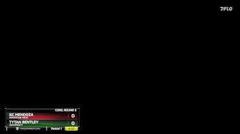 165 lbs Cons. Round 3 - Kc Mendoza, Mountain View vs Tytan Bentley, University