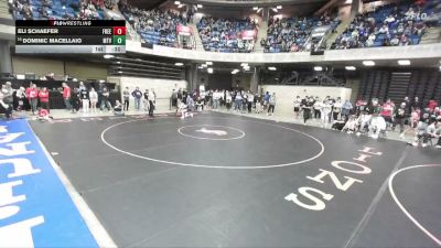101 lbs Champ. Round 2 - Dominic Macellaio, Wheaton (North) vs Eli Schaefer, Freeburg