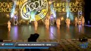 Dancin Bluebonnets - Mini - Contemporary [2020 Mini - Contemporary/Lyrical Day 2] 2020 Encore Championships: Houston DI & DII