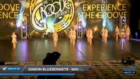 Dancin Bluebonnets - Mini - Contemporary [2020 Mini - Contemporary/Lyrical Day 2] 2020 Encore Championships: Houston DI & DII