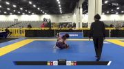 Isabel Sophia Ford vs Luiz Palhares Jiu-Jitsu 2025 World IBJJF Jiu-Jitsu No-Gi Championship