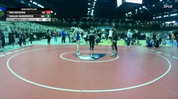 145 lbs Semifinal - Ailee Briggs, Lemon Bay vs Ceajah Brown, Freedom