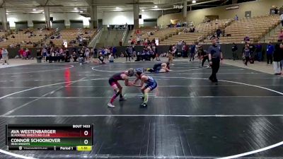 75 lbs Cons. Semi - Ava Westenbarger, Blackman Wrestling Club vs Connor Schoonover, Iron Knights