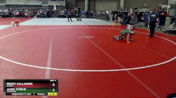 55 lbs Quarterfinal - Augie Sterud, Pipestone vs Brody Gallagher, Blaine