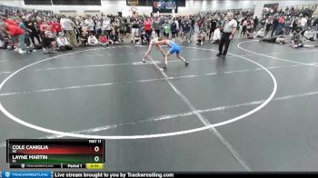 92 lbs Champ. Round 2 - Cole Caniglia, NE vs Layne Martin, MI