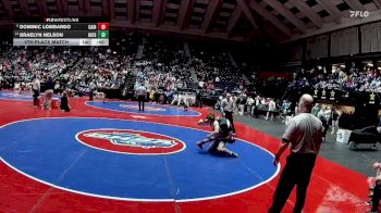 138-3A 5th Place Match - Braelyn Nelson, Gilmer County vs Dominic Lombardo, Cairo