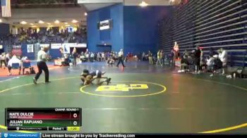 113 lbs Champ. Round 1 - Julian Rapuano, Delcastle vs Nate Dulcie, Perry (Massillon)