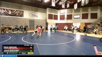 100 lbs 3rd Place Match - Aydan Borchardt, Brighton Wrestling Club vs Isaac Hermann, Jordan Junior Wrestling