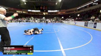 165 lbs Cons. Round 1 - Dan Zellner, Camp Verde vs Dominic Hansen, Gila Ridge High School