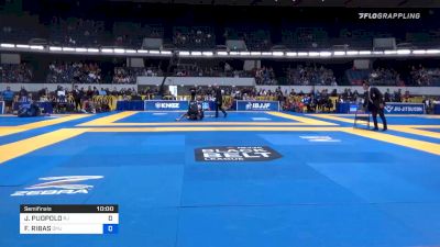 JAMES PUOPOLO vs FERNANDO RIBAS 2019 World IBJJF Jiu-Jitsu No-Gi Championship