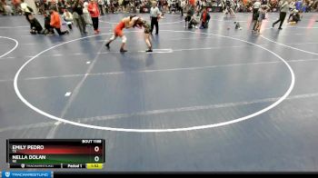 127 lbs Champ. Round 3 - Emily Pedro, TX vs Nella Dolan, NE