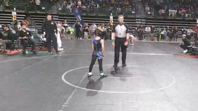 65 lbs Quarterfinal - Sean Mcgrody, American MMAW vs Theodore Stellaccio, Williamstown Braves
