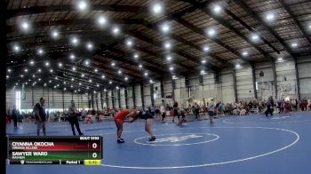 164 lbs Semifinal - Sawyer Ward, Mayhem vs Ciyanna Okocha, Virginia Killers