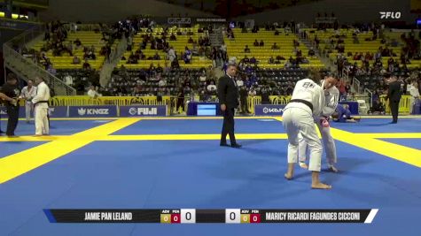 Maricy Ricardi Fagundes Cicconi vs Jamie Pan Leland 2025 Master International IBJJF Jiu-Jitsu North American Championship