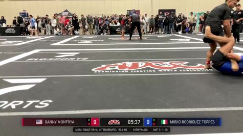 Danny Montoya vs Mirko Rodriguez Torres 2025 ADCC Orlando Open/Youth Trials