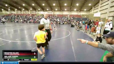 52 lbs Champ. Round 1 - Roland Marsh, Box Elder Stingers vs Bradyen Blake, Charger Wrestling Club