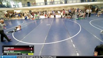 84-91 lbs Quarterfinal - Amarri Kem, Ravage vs Brock Gale, Sanderson Wrestling Academy