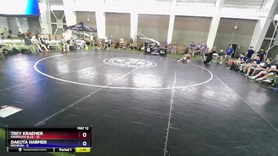 88 lbs Round 2 (8 Team) - Trey Kraemer, Minnesota Blue vs Dakota Harmer, Michigan