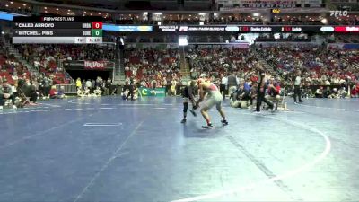 3A-120 lbs Cons. Round 5 - Mitchell Pins, Dubuque Hempstead vs Caleb Arroyo, Urbandale