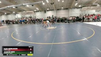 106 lbs Cons. Round 7 - Alex Herburger, Pueblo East vs Zandon Ness, Riverdale Ridge