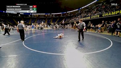 45 lbs Final - Callie Brannon, Danville vs Madison Dragon, Upper Dublin