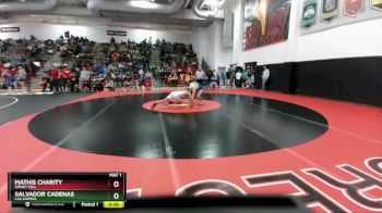 138 lbs Cons. Round 2 - Mathis Charity, Smoky Hill vs Salvador Cadenas, Las Animas