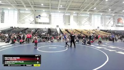 75 lbs Semifinal - Peyton Mister, Owego Wrestling vs Christopher Pulis, Brawlers Elite