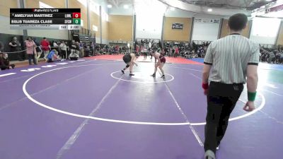 235 lbs Quarterfinal - Amelyiah Martinez, Lowell vs Eglis Tuareza Clase, Springfield Central (W)