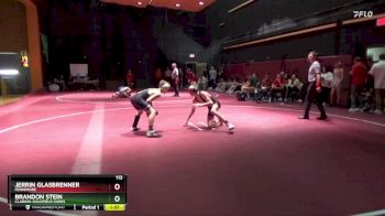 113 lbs 19th Place Match - Jerrin Glasbrenner, Fennimore vs Brandon Stein, Clarion-Goldfield-Dows