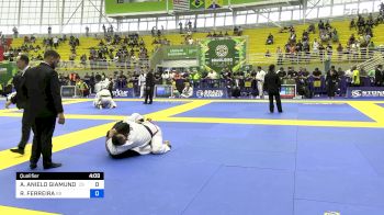ANDERSON ANIELO GIAMUNDO vs ROBSON FERREIRA 2024 Brasileiro Jiu-Jitsu IBJJF