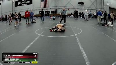 76 lbs Placement (4 Team) - Caleb Tsikerdanos, Warhawks vs Greg Bachman, Revival Uprising Black