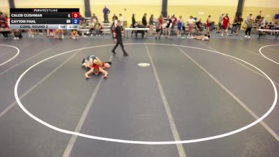 126 lbs Cons. Round 2 - Caleb Cushman, IL vs Cayton Pahl, MN