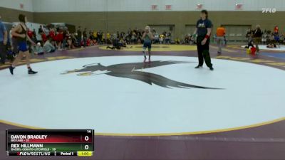 102 lbs Semis (4 Team) - Davon Bradley, Big Lake vs Rex Hillmann, Dassel-Cokato-Litchfield