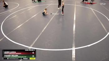 53 lbs Cons. Round 2 - Tucker Oellien, St. Francis Gladiators Wrestling Club vs James Luoma, Pursuit Wrestling Minnesota