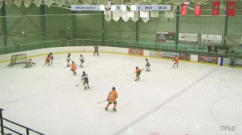 Replay: Home - 2025 CRAA Blue U13 vs CNHA Gold U13 | Jan 11 @ 4 PM