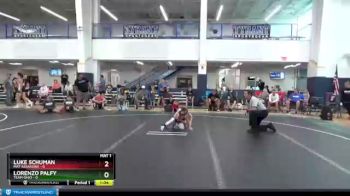48 lbs Round 6 (8 Team) - Lorenzo Palfy, Team Ohio vs Luke Schuman, Mat Assassins