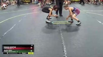 67 lbs Quarterfinals (8 Team) - Alex Hall, Untouchables Purple vs Esaias Koethe, Team Iowa Red