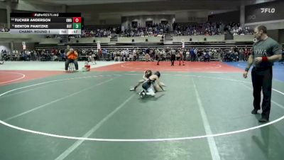 75 lbs Champ. Round 1 - Benton Panitzke, Hutchinson vs Tucker Anderson, Owatonna