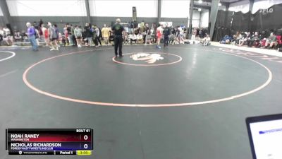 144 lbs Quarterfinal - Noah Raney, Washington vs Nicholas Richardson, FordDynastyWrestlingClub