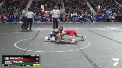 85 lbs Cons. Semi - Cael Taglialatela, Caney vs Dalton Vaneaton, Renegades