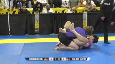 Noah Jacob Shaffner vs Carlos Oscar Heredia 2024 World IBJJF Jiu-Jitsu No-Gi Championship