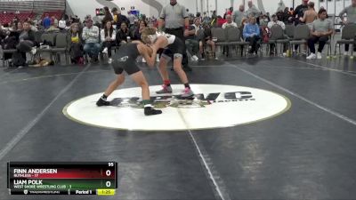 95 lbs Placement Matches (8 Team) - Liam Polk, West Shore Wrestling Club vs Finn Andersen, Ruthless