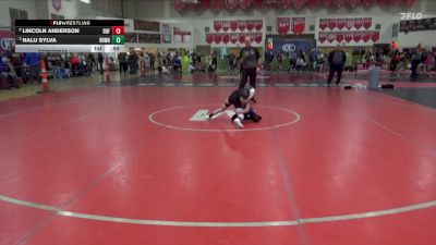 50 lbs Semifinal - Lincoln Anderson, DGF vs Nalu Sylva, Black Hills Wrestling Academy