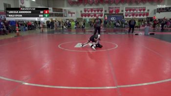 50 lbs Semifinal - Lincoln Anderson, DGF vs Nalu Sylva, Black Hills Wrestling Academy