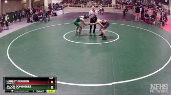 175 lbs Quarterfinal - Harley Denison, Fernley vs Jacob Dominguez, Virgin Valley