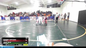 285 lbs Cons. Round 2 - Akins Silas, Centennial vs Dominic Cattuzzo, Coalinga