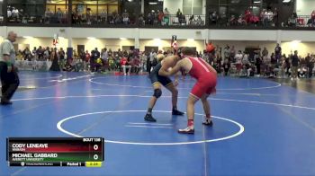 174 lbs Champ. Round 2 - Cody LeNeave, Wabash vs Michael Gabbard, Averett University