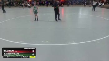 80 lbs Champ. Round 1 - Riley Hicks, Rabbit Wrestling Club vs Dawson Phillips, Williamson County Wrestling Cl