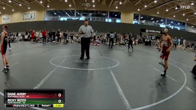 100 lbs Round 3 (6 Team) - Dane Avery, SouthWest Elite vs Ricky Rizzo, Team Gotcha