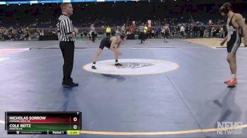 D4-120 lbs Semifinal - Nicholas Sorrow, Hudson Area HS vs Cole Reitz, Martin HS